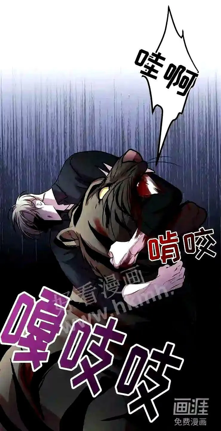 第23章:投降 第11页