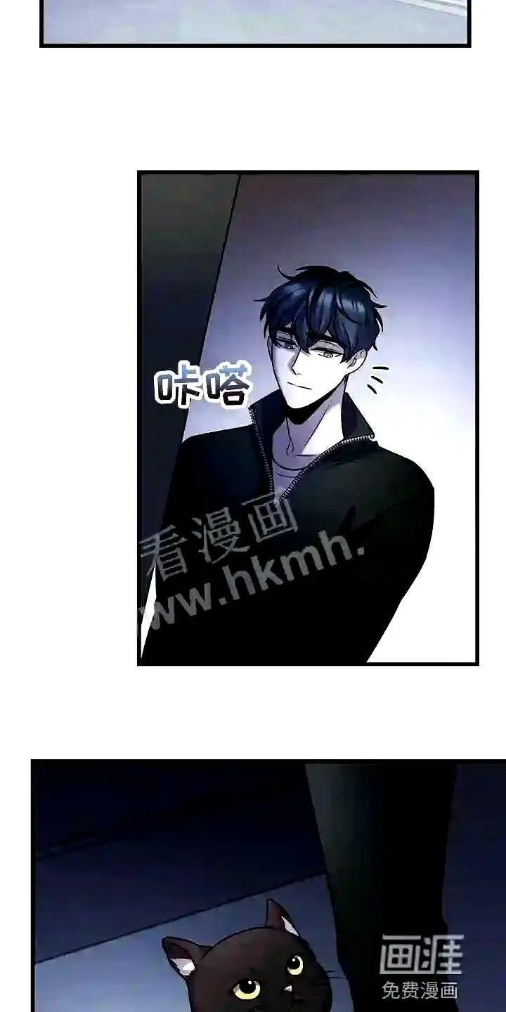 第27章:黑猫 第19页