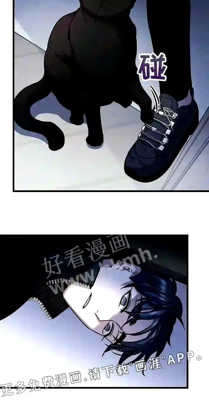 第27章:黑猫 第20页