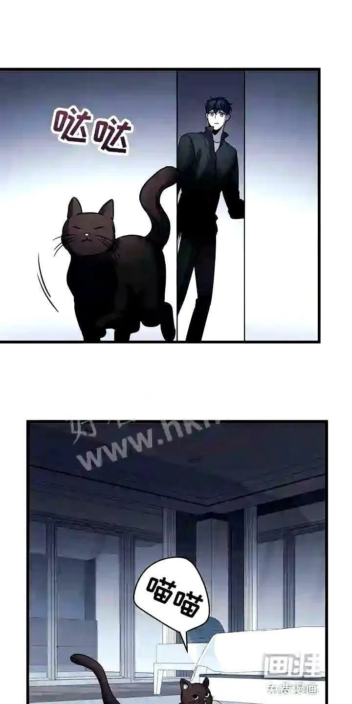 第28章:聪明的猫咪 第1页