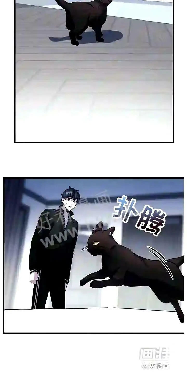 第28章:聪明的猫咪 第2页