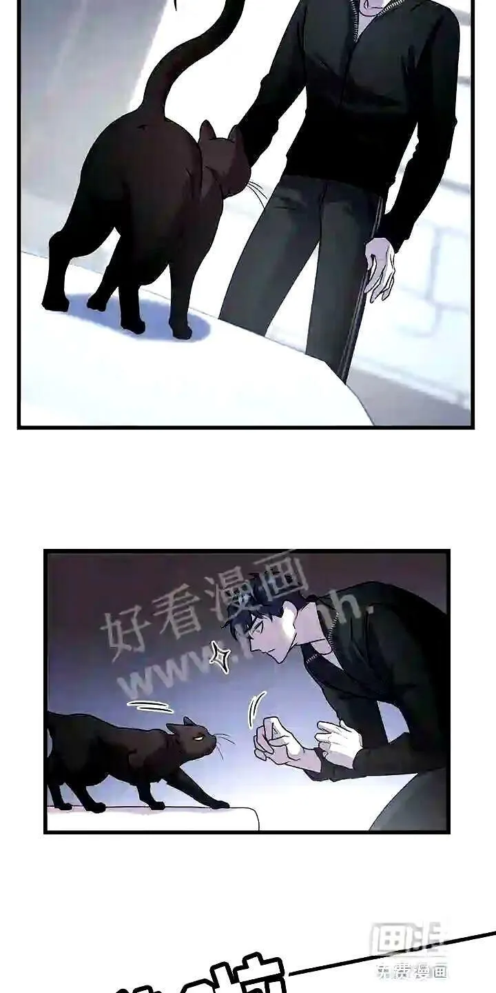 第28章:聪明的猫咪 第4页