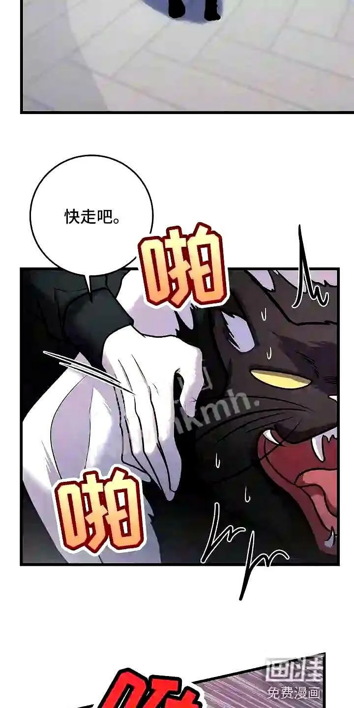 第28章:聪明的猫咪 第7页
