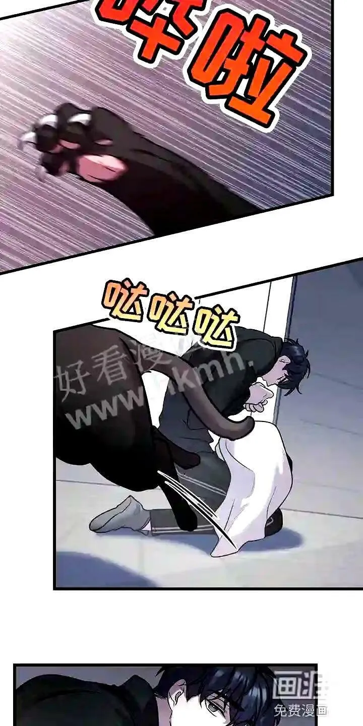 第28章:聪明的猫咪 第8页