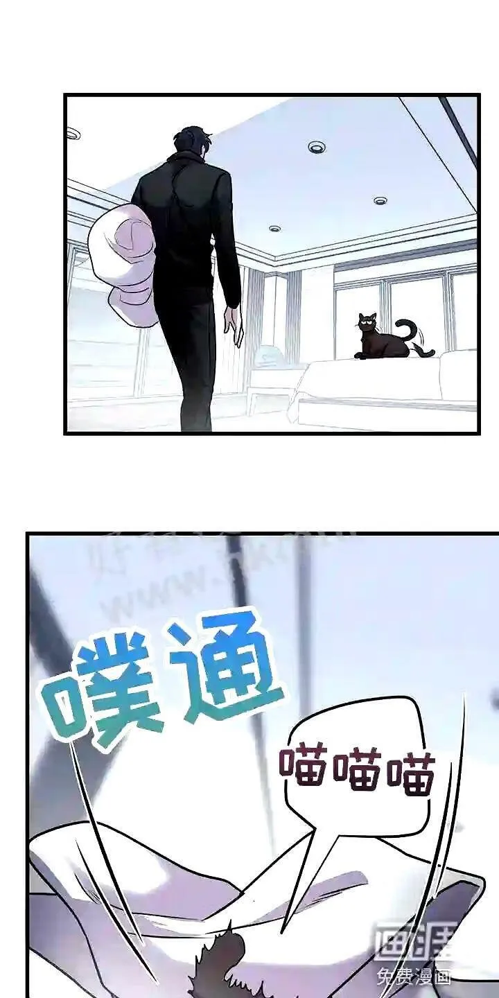 第28章:聪明的猫咪 第10页