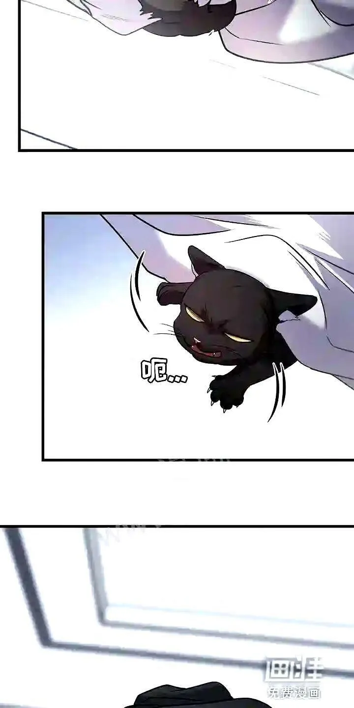 第28章:聪明的猫咪 第11页