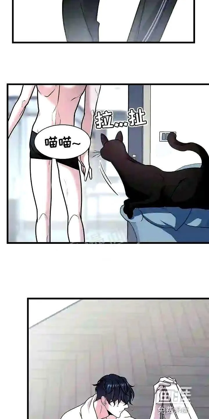 第28章:聪明的猫咪 第14页