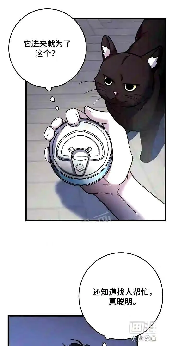 第28章:聪明的猫咪 第16页