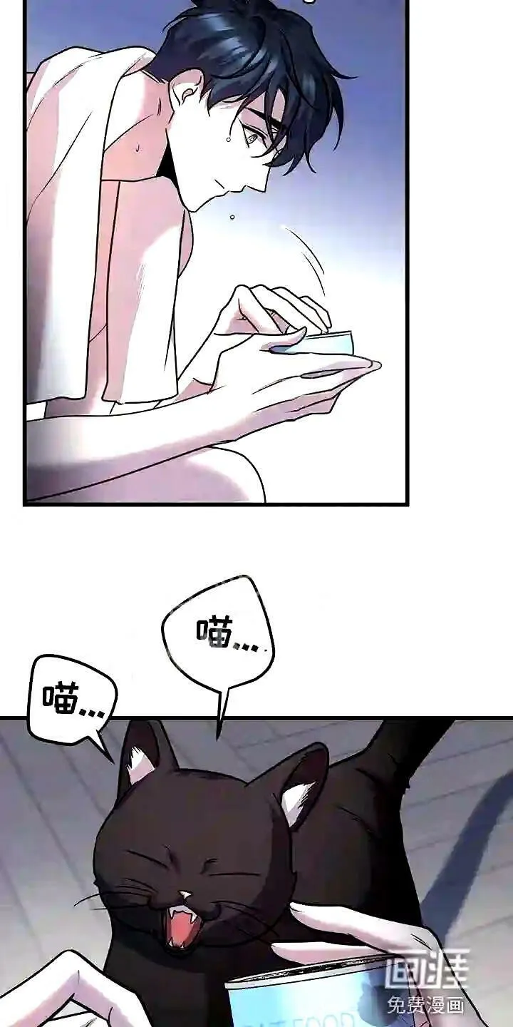 第28章:聪明的猫咪 第17页
