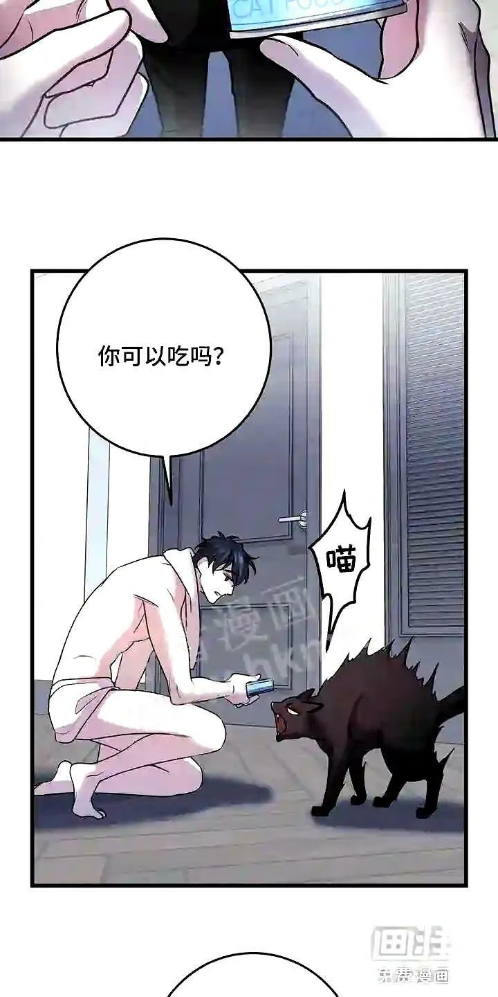 第28章:聪明的猫咪 第18页