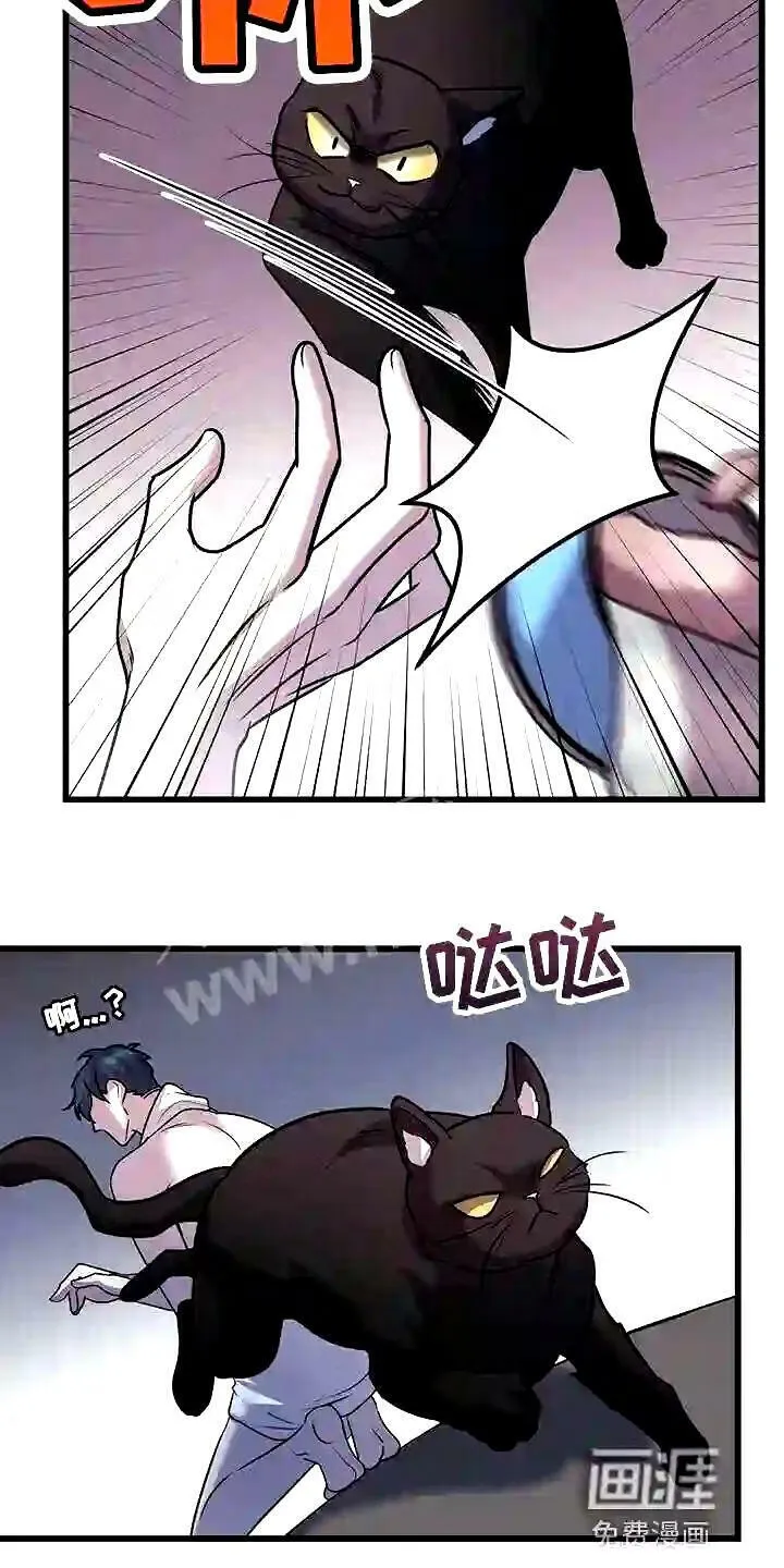 第28章:聪明的猫咪 第20页