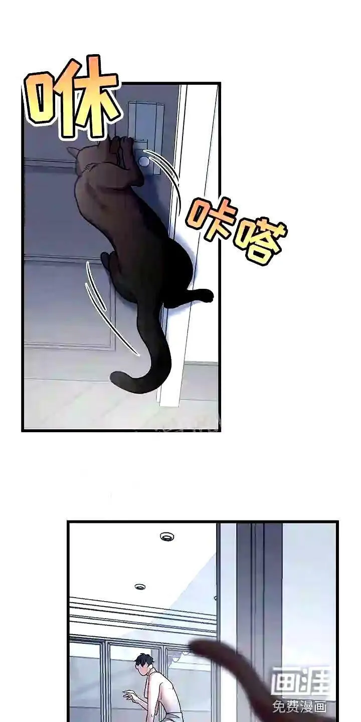 第28章:聪明的猫咪 第21页