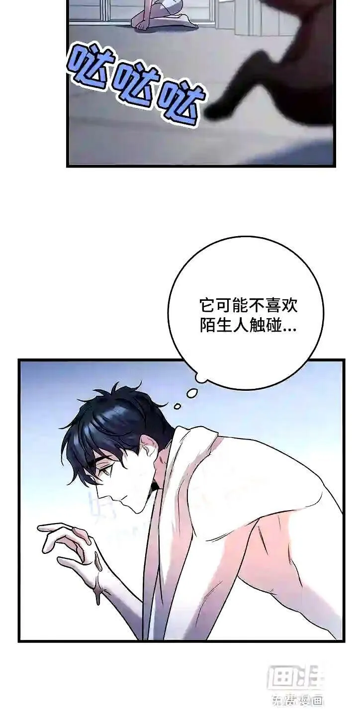 第28章:聪明的猫咪 第22页