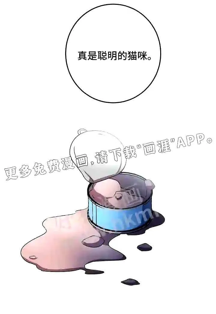 第28章:聪明的猫咪 第23页