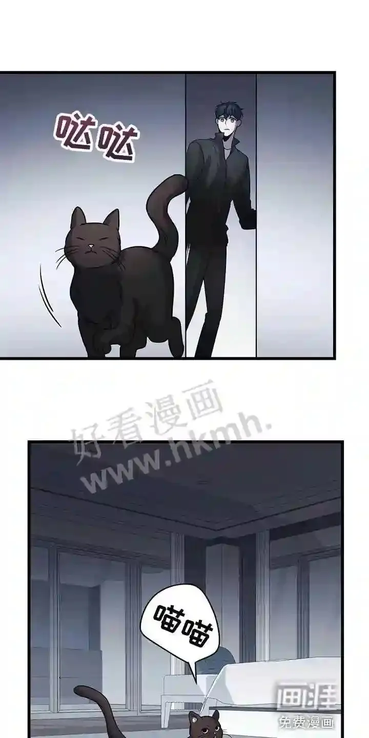 第28章:聪明的猫咪 第24页