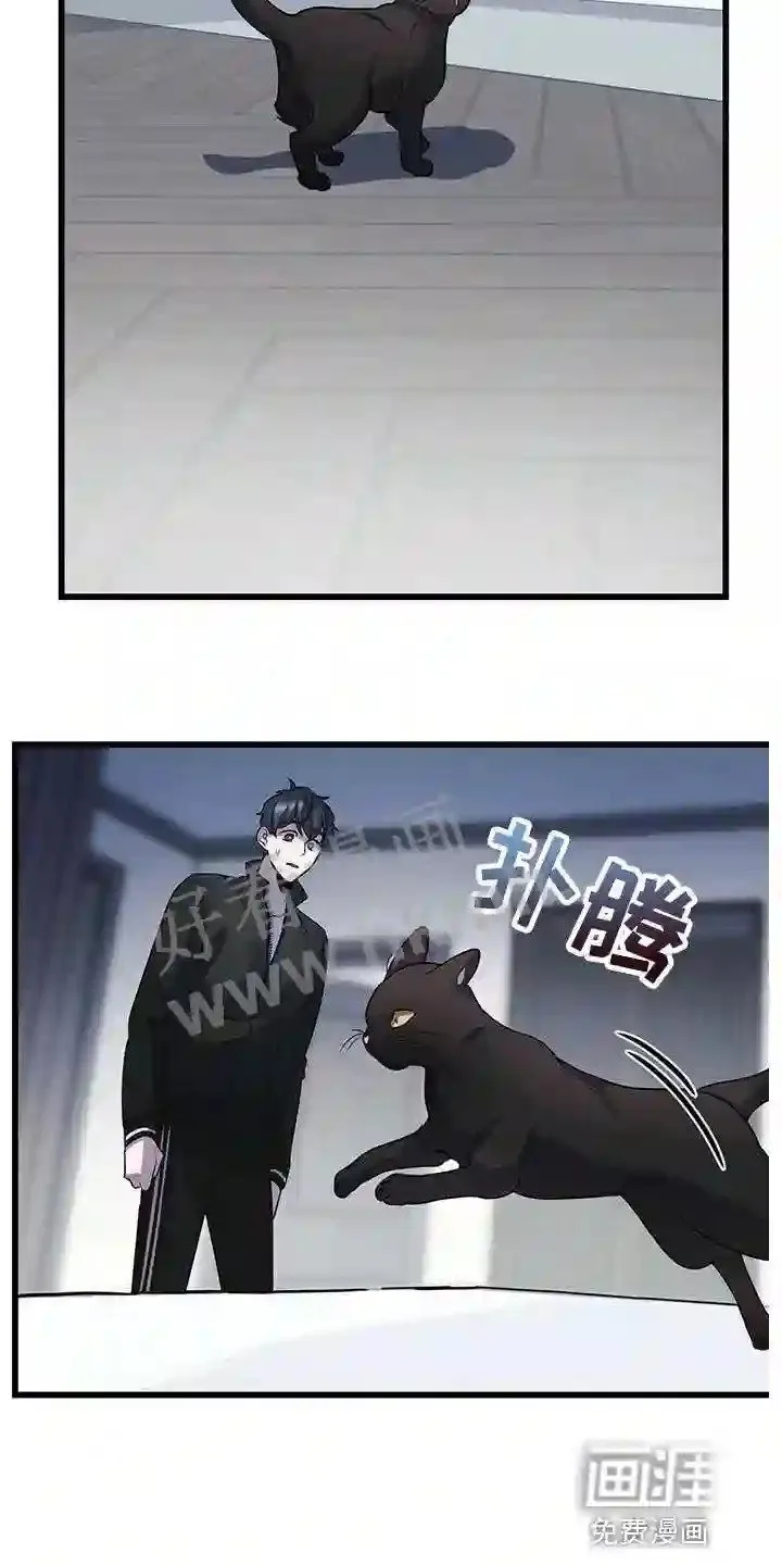 第28章:聪明的猫咪 第25页