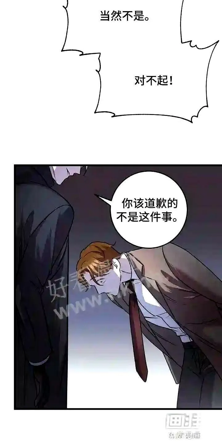 第29章:道歉 第5页