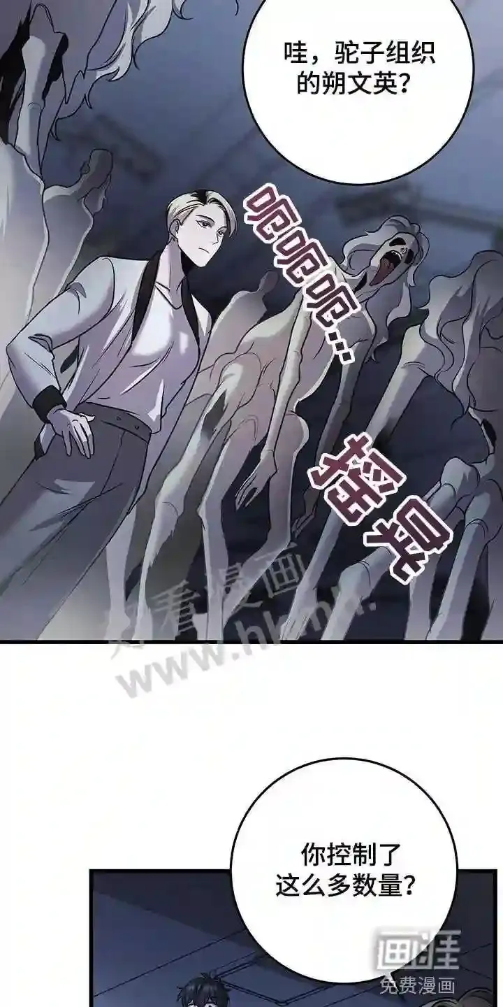 第32章:全员攻击! 第12页
