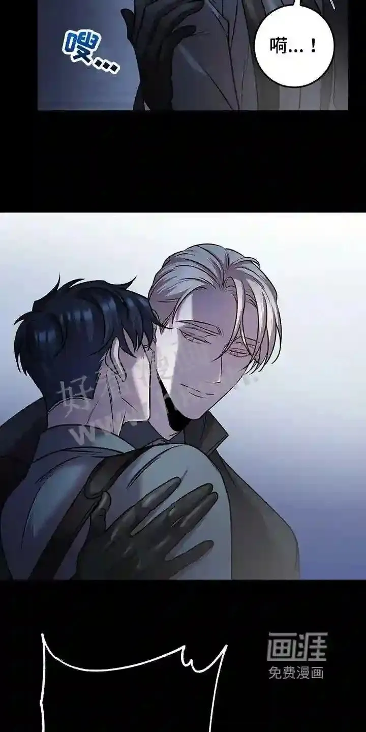 第35章:诱饵 第2页