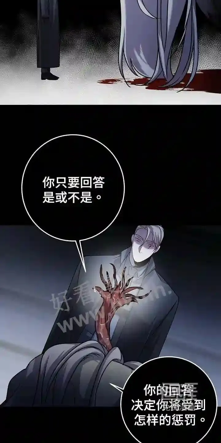 第35章:诱饵 第13页