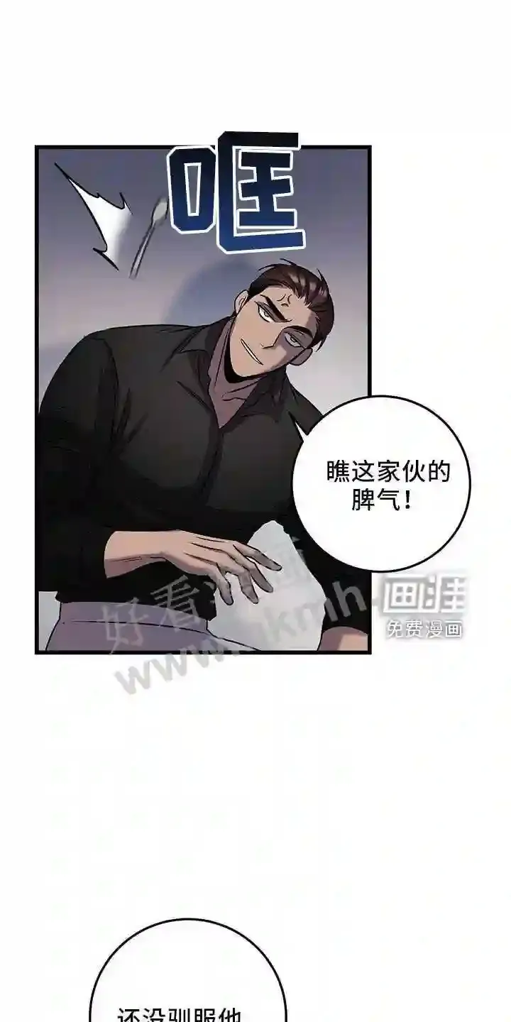 第39章:喂饭 第20页