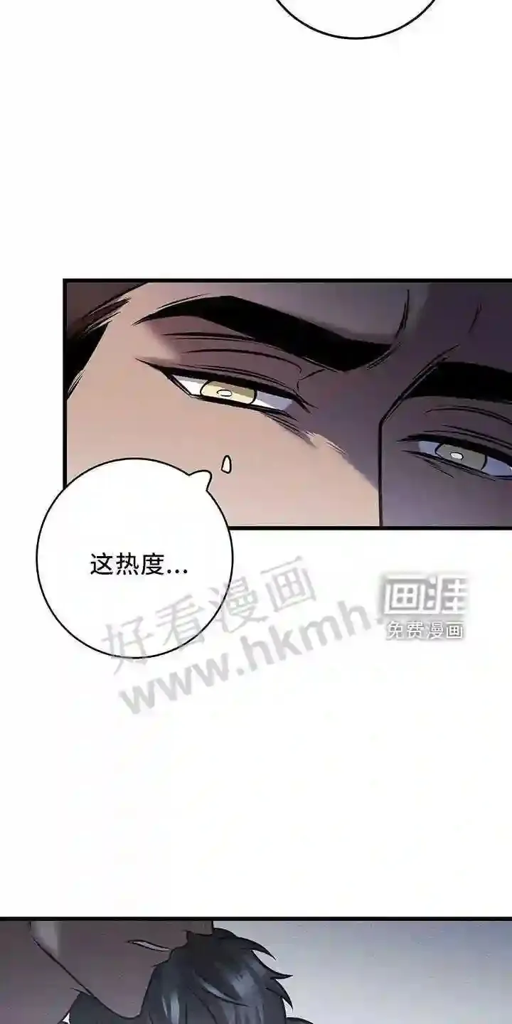 第40章:吃饱了 第13页