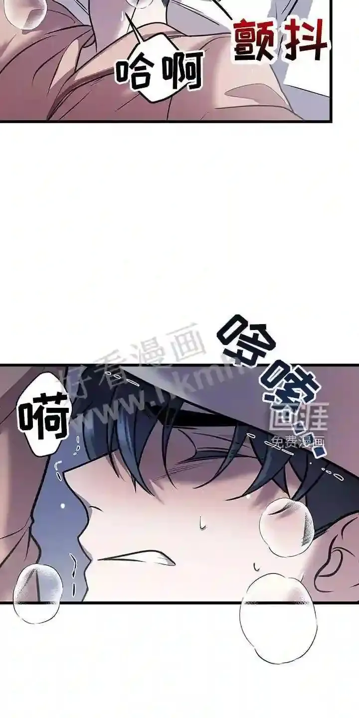 第40章:吃饱了 第16页
