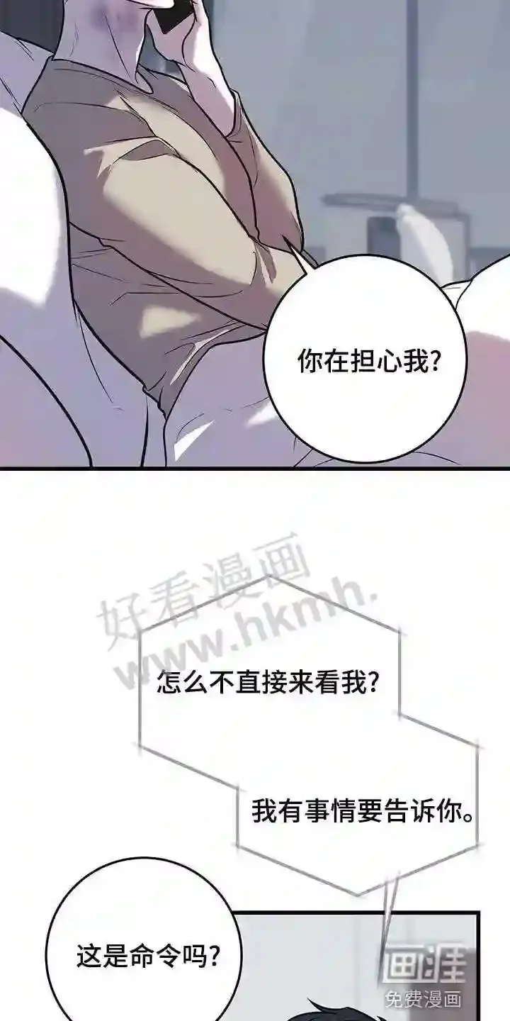 第43章:待会见 第13页