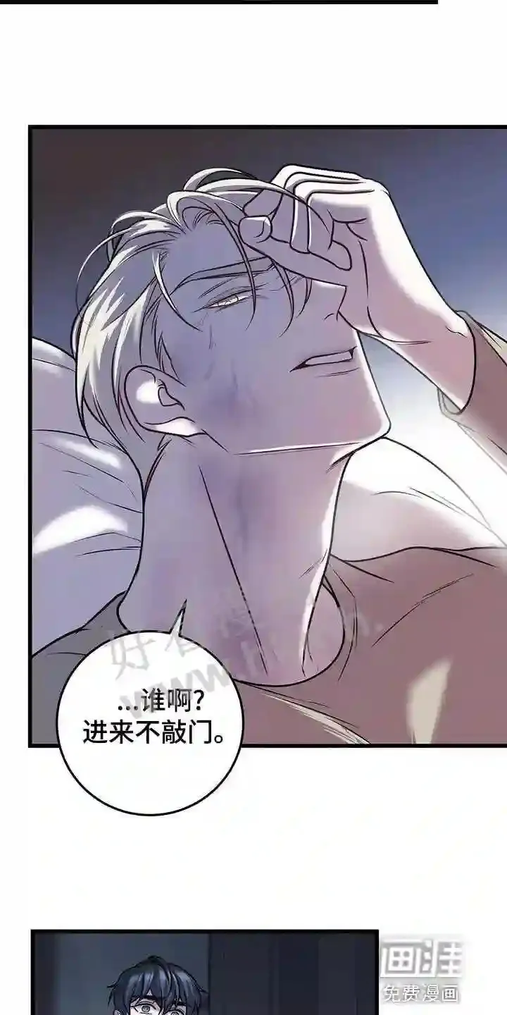 第44章:蛋白饼干 第4页
