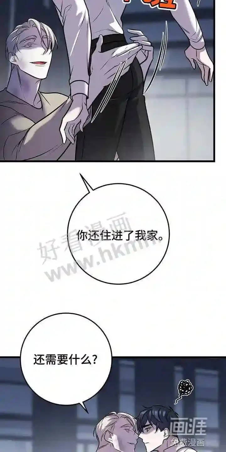 第44章:蛋白饼干 第11页
