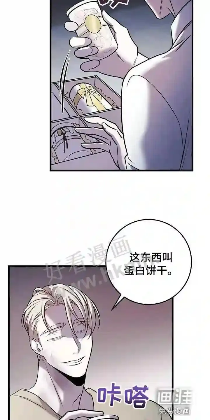 第44章:蛋白饼干 第20页