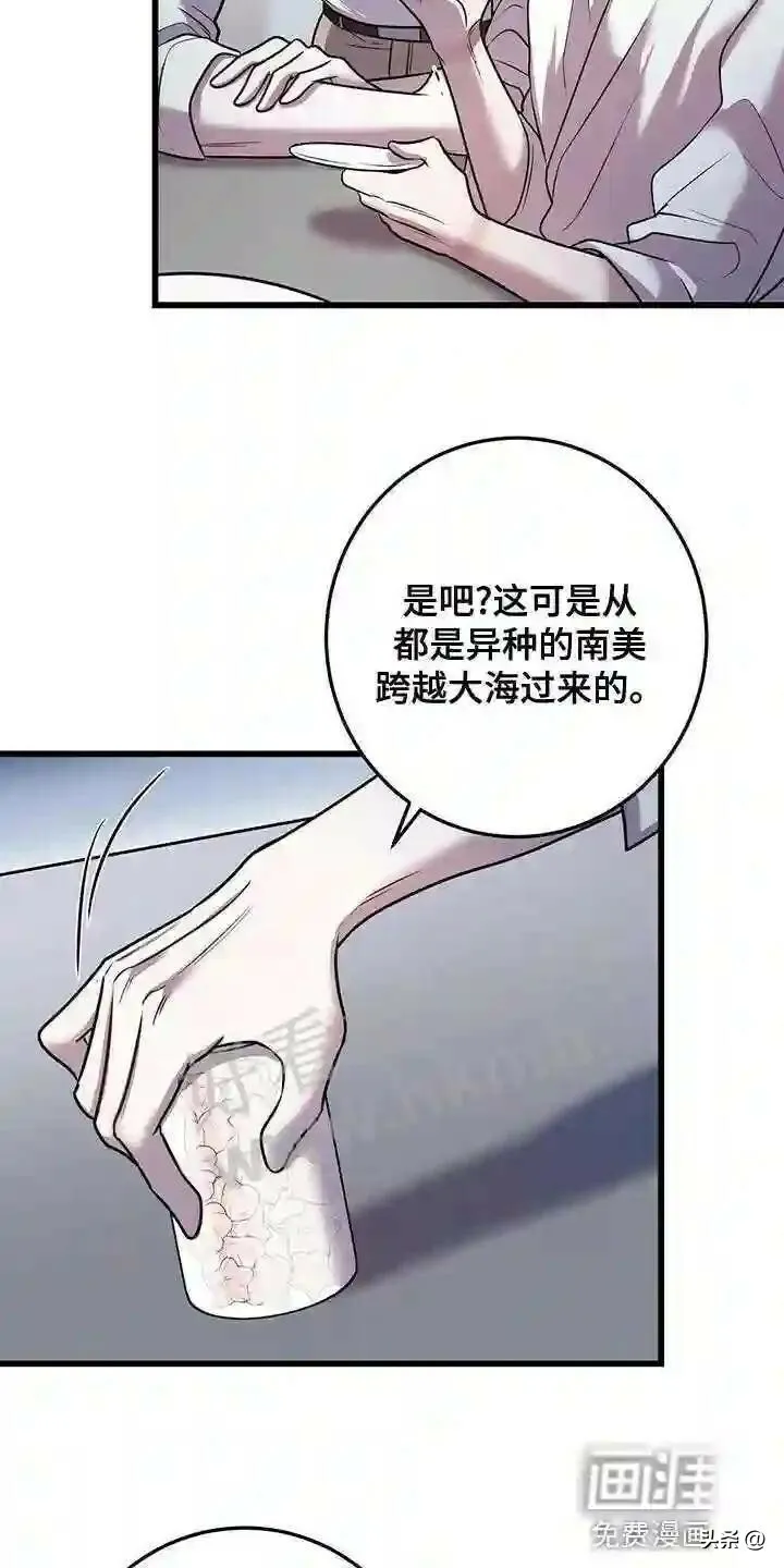 第46章:管理体力 第13页