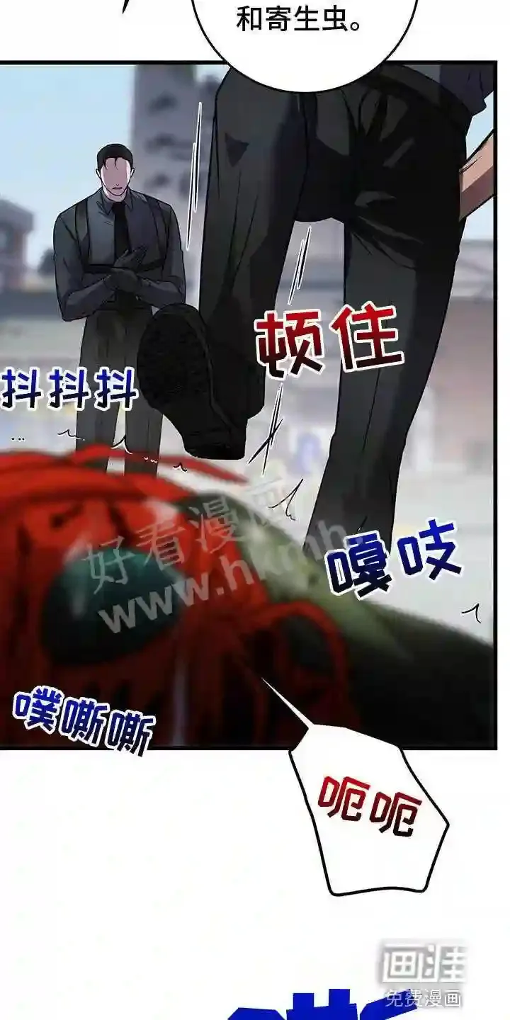 第48章:群体攻击 第12页