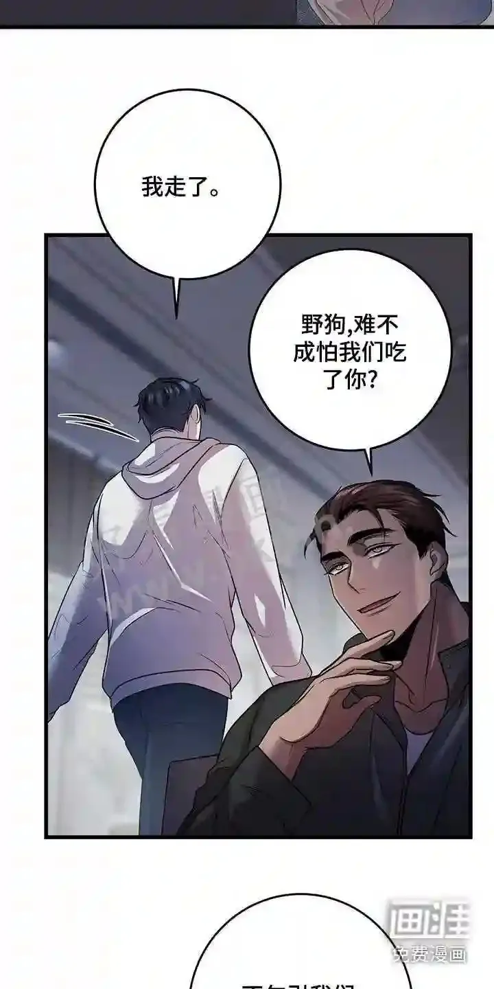 第52章:不理会 第6页