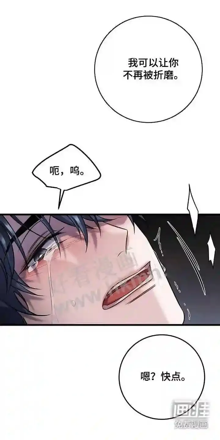 第54章:准备 第3页
