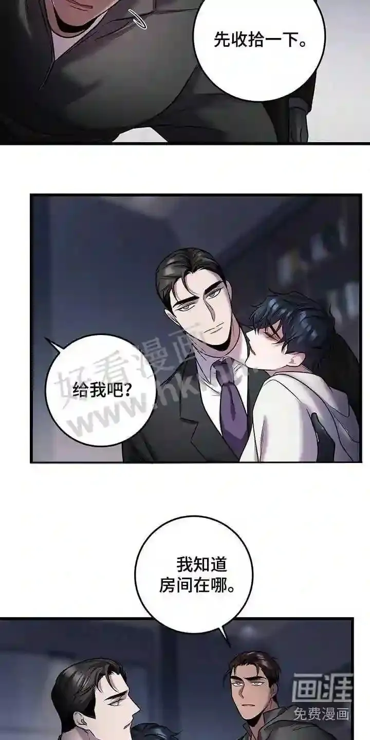 第54章:准备 第17页