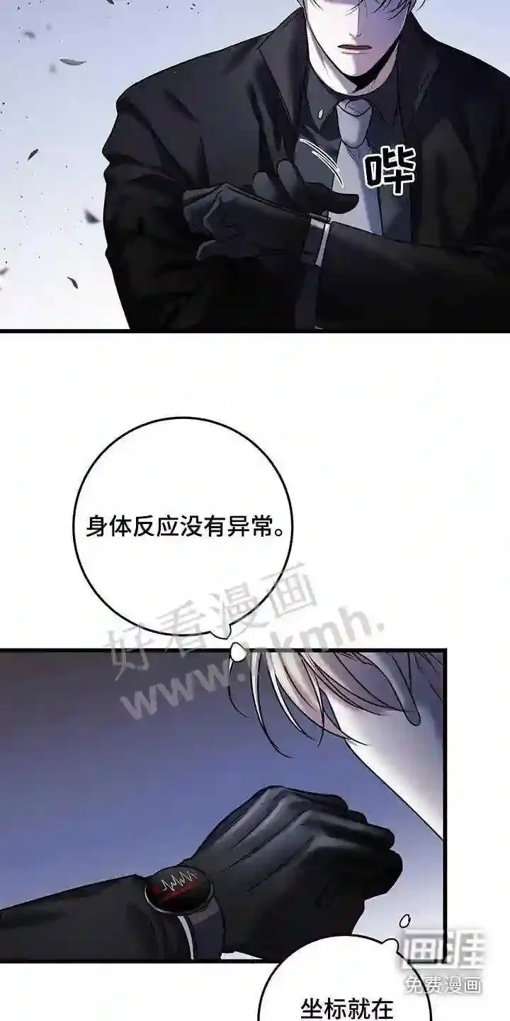 第60章:救援 第20页