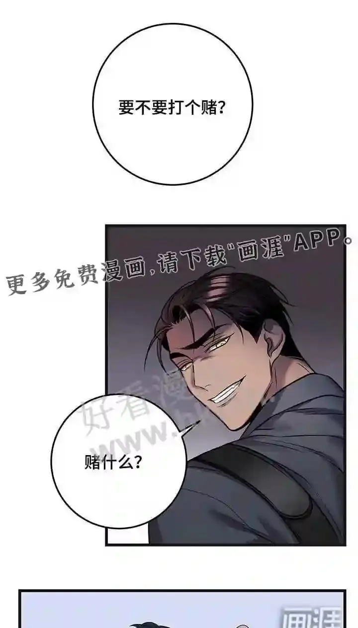 第66章:打赌 第1页