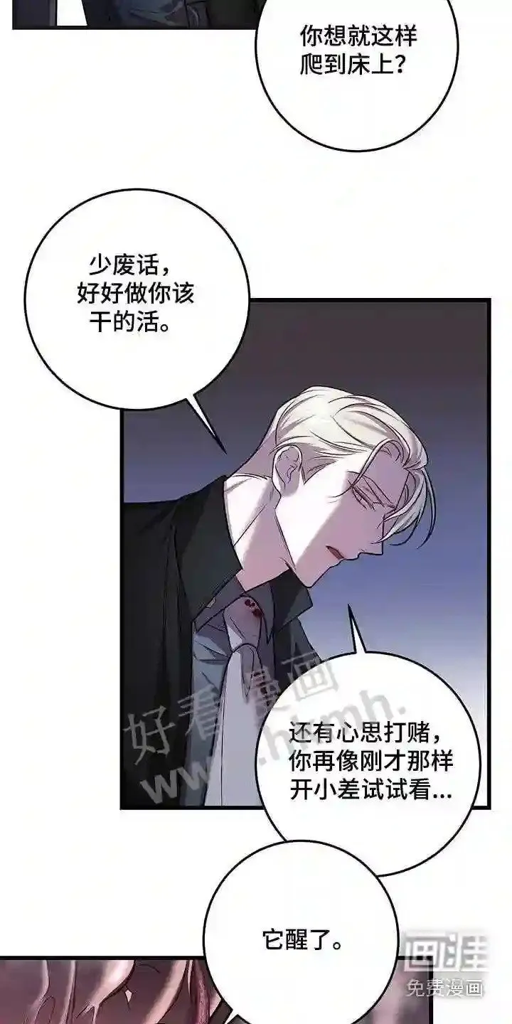 第66章:打赌 第3页