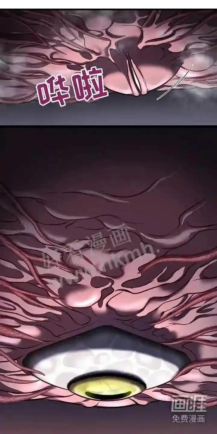 第66章:打赌 第5页