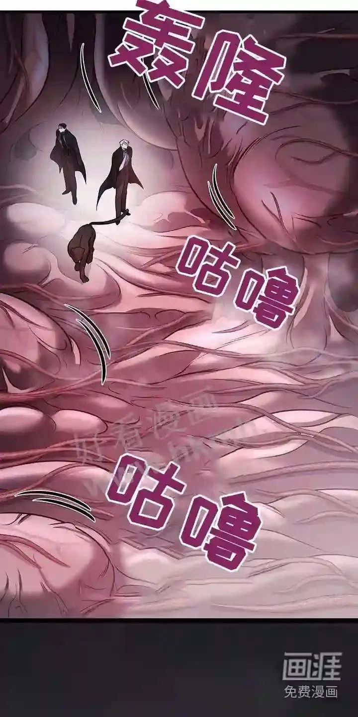 第66章:打赌 第11页