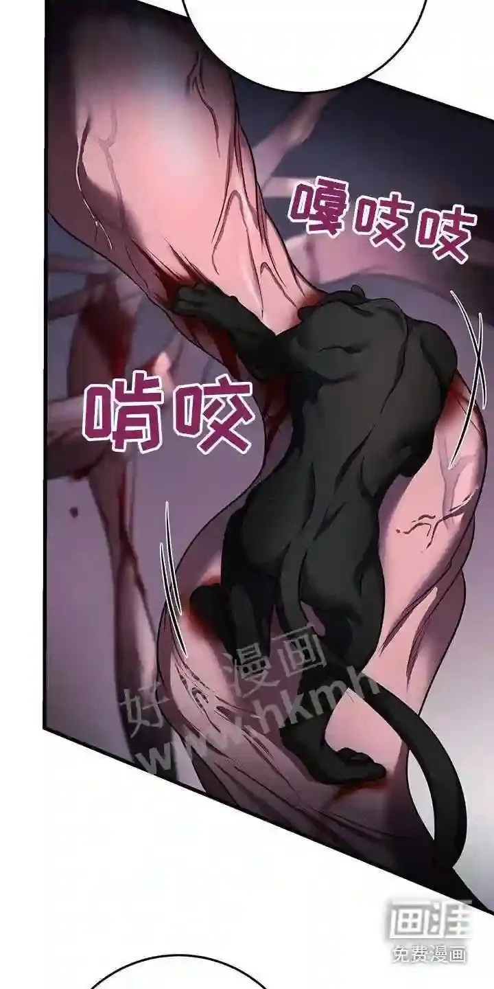 第66章:打赌 第22页