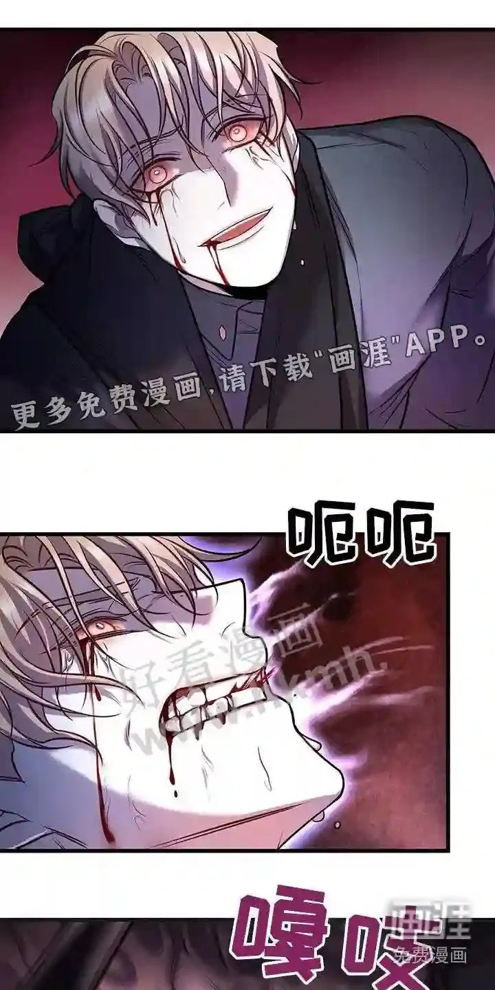 第67章:击杀 第1页