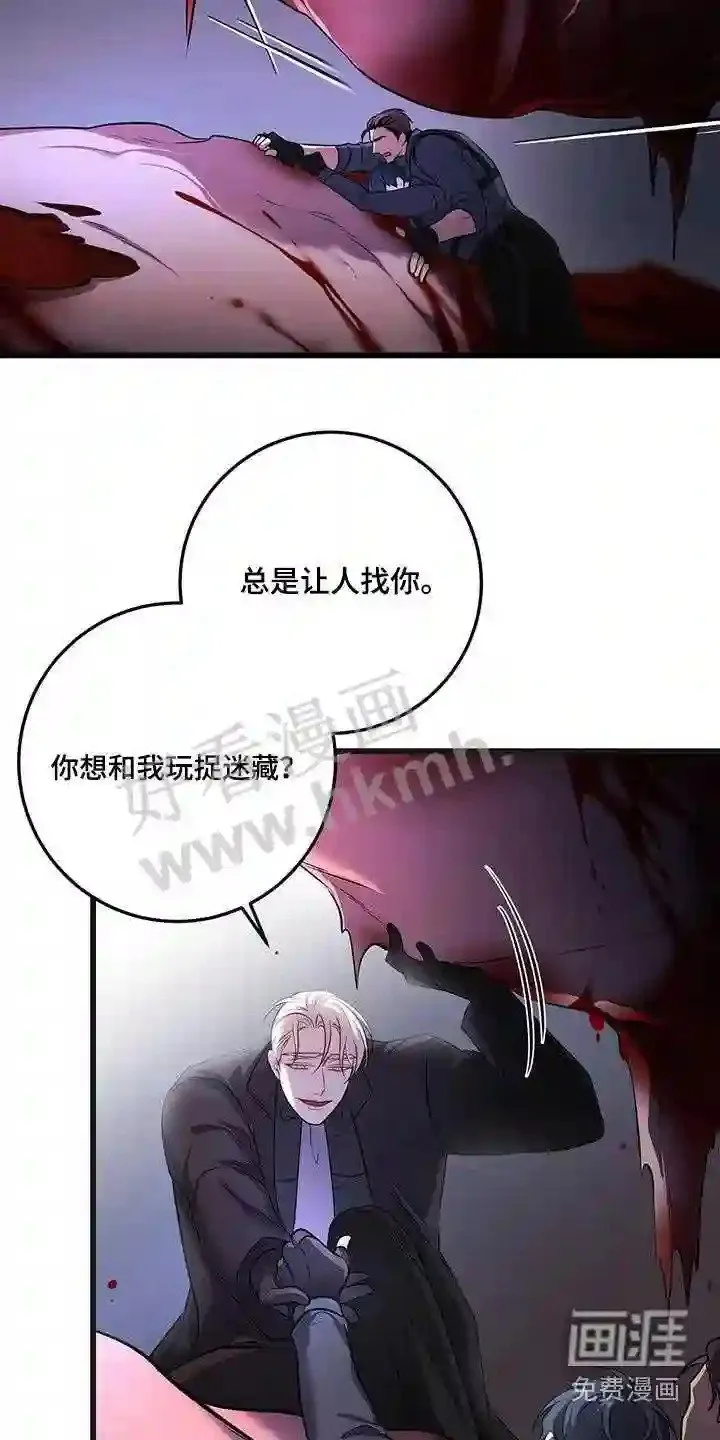第67章:击杀 第25页