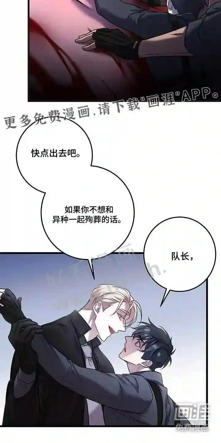 第67章:击杀 第26页