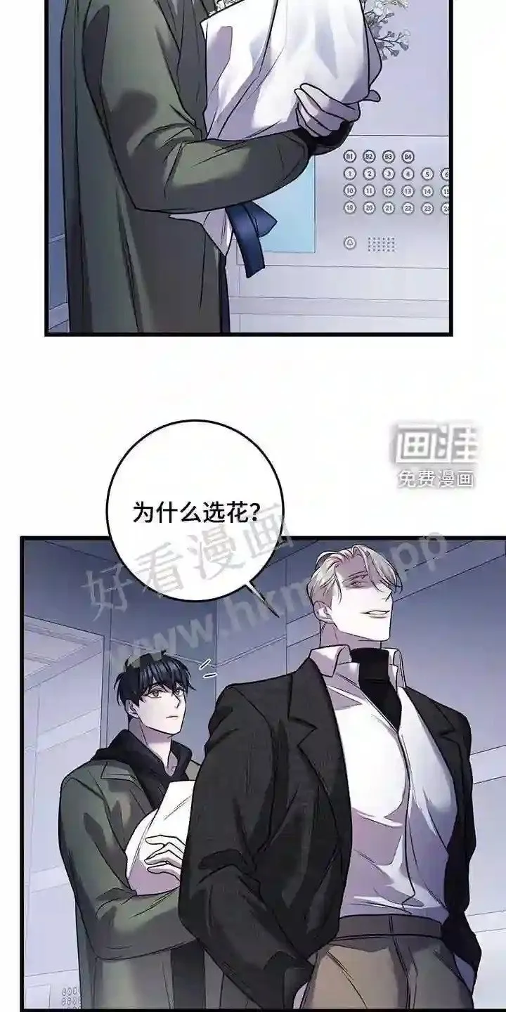 第74章:看病礼物 第15页