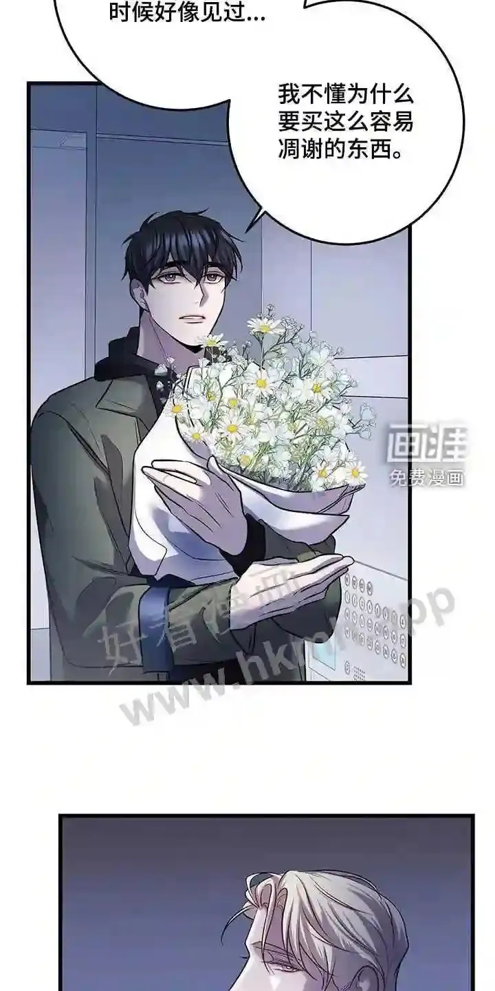 第74章:看病礼物 第17页