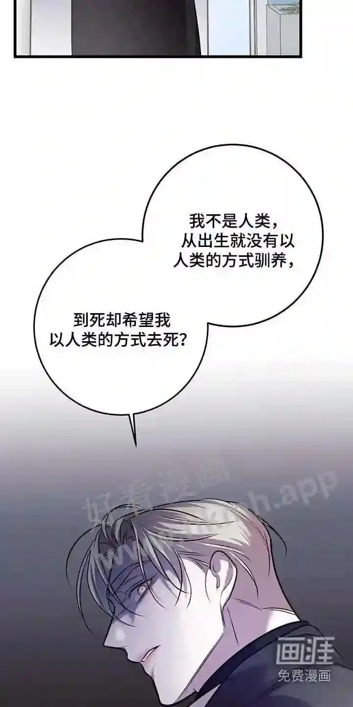 第75章:真是傲慢 第29页