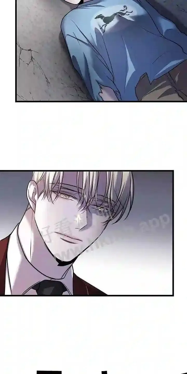 第76章:实验 第5页