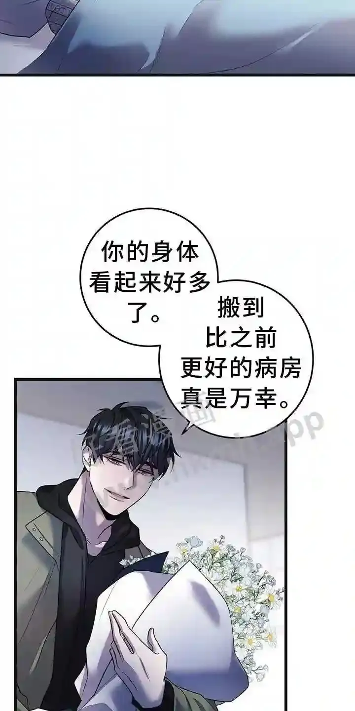 第80章:幻觉 第3页